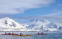 Exploring the Arctic: A Journey to the Edge of the World