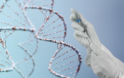 Фото freepik.com