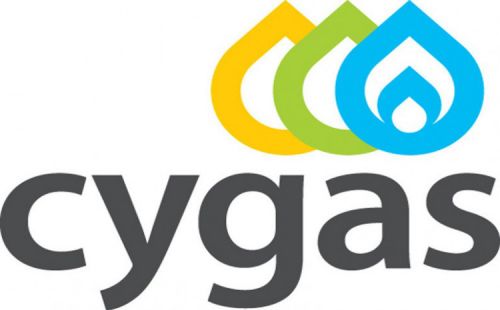 Девятое продление тендера на импорт газа