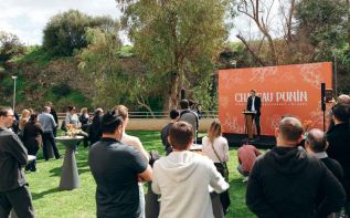 Chateau Punin высаживает легендарный сорт винограда пино нуар