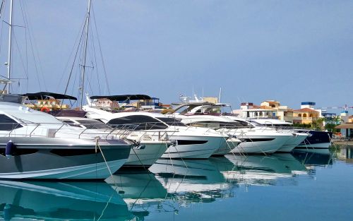 Фото: Юлия Аванесова