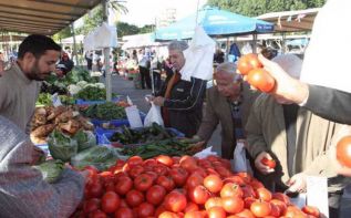 Контрабандные томаты наводнили Кипр