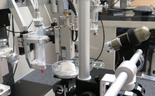 17 научных мгновений