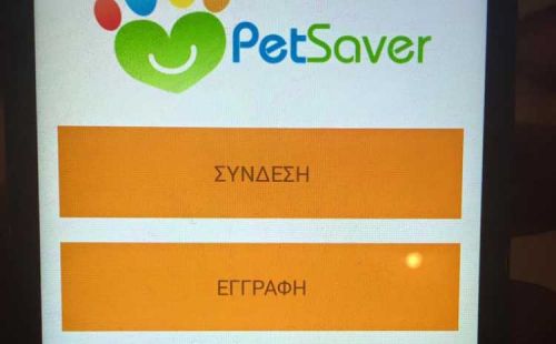 Мобильное приложение для «потеряшек»