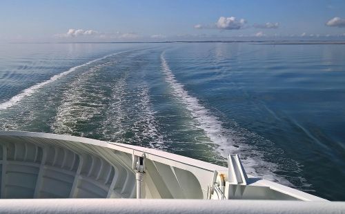 Фото pixabay.com