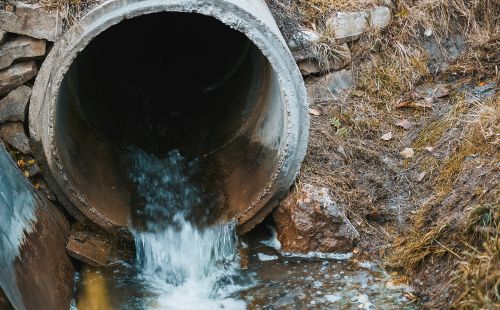 Фото freepik.com