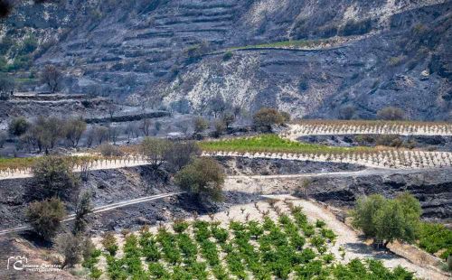 Фото: Christos Christou/ Landscapes of Cyprus
