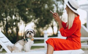 Pet-friendly отели на Кипре: взгляд на растущий тренд