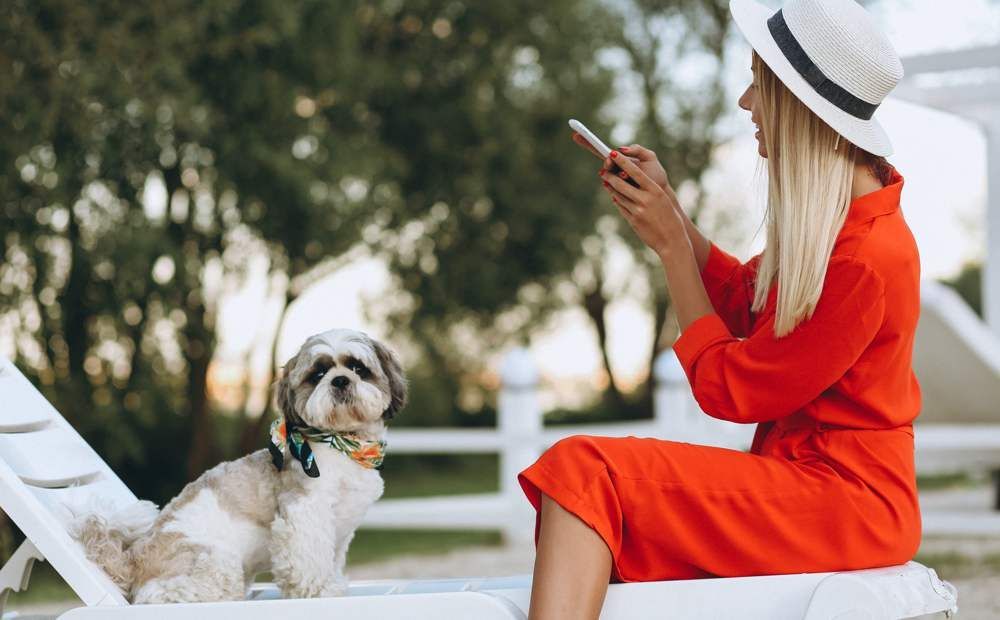 Pet-friendly отели на Кипре: взгляд на растущий тренд