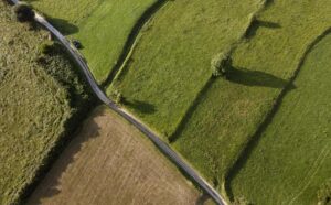 Земельные участки пользуются особым спросом