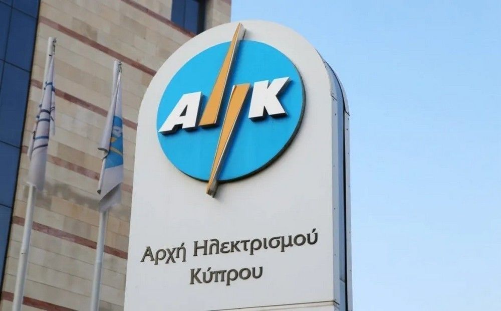 Что показал аудит Электрической компании Кипра